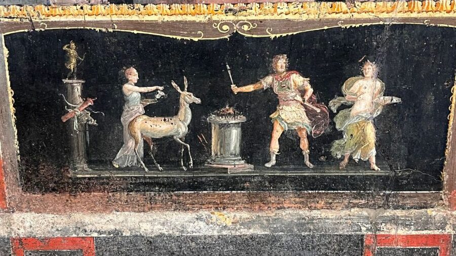 From Rome: Pompeii and Naples Day Trip by High-Speed Train - The guides and drivers make or break the day
