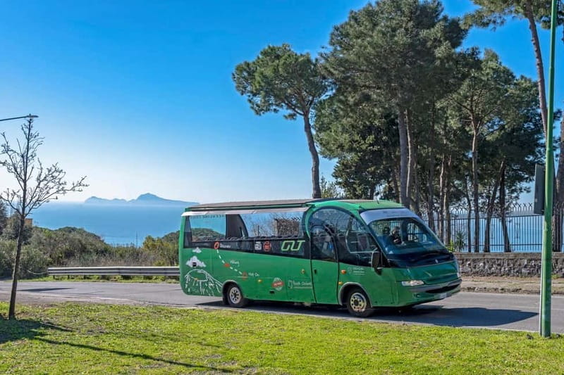 From Rome: Pompeii and Vesuvio Guided Day Trip with Lunch - Price and Logistics: What $169.93 Buys You (and What It Does Not)