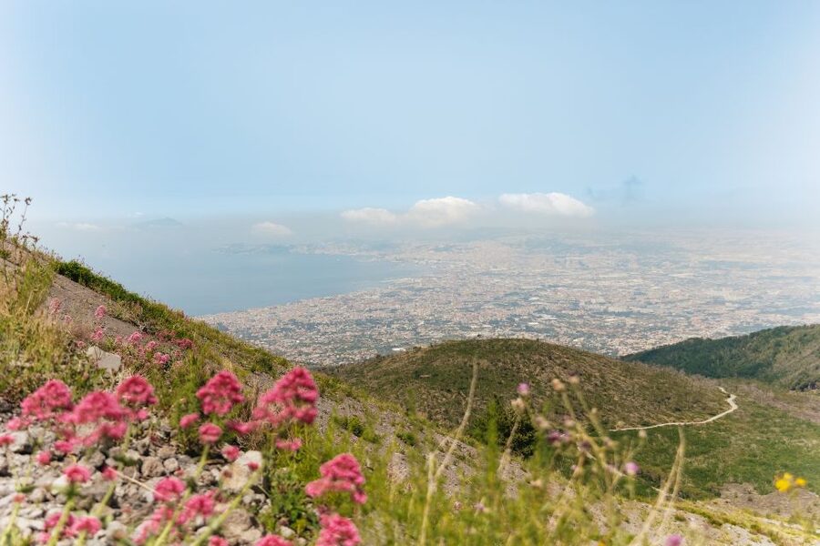 From Rome: Pompeii Day Trip with Optional Vesuvius and Lunch - Who should book, and who should skip this Pompeii and Vesuvius trip