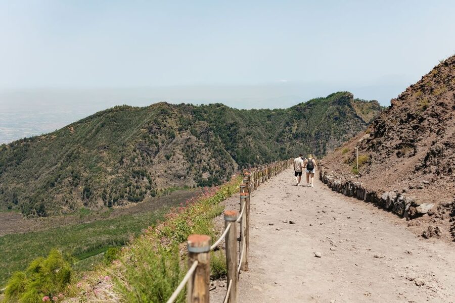 From Rome: Pompeii Day Trip with Optional Vesuvius and Lunch - The Pompeii part of the day: what to focus on in a 2-hour guided walk