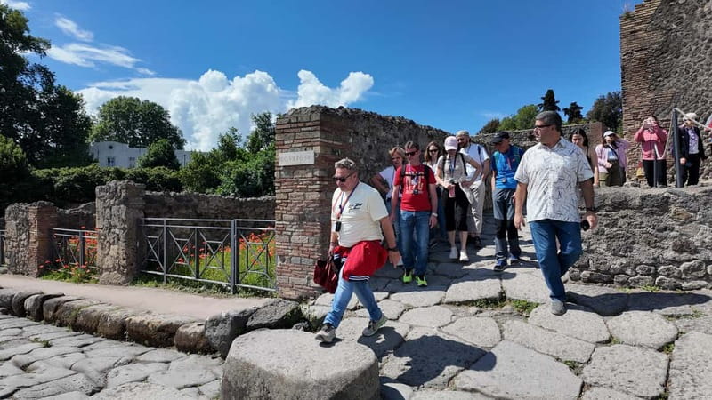 From Rome: Pompeii Ruins Tour with Expert Guide & Fast Train - Who this Pompeii tour suits best