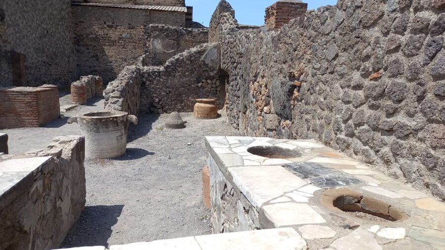 From Rome: Sorrento & Pompeii Day Tour with Hotel Pickup - Who this day tour suits best, and who should think twice