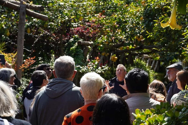 From Rome: Sorrento & Pompeii Day Trip with Guide or Ticket - Sorrento Free Time and Limoncello Tasting: The Lemon Reset