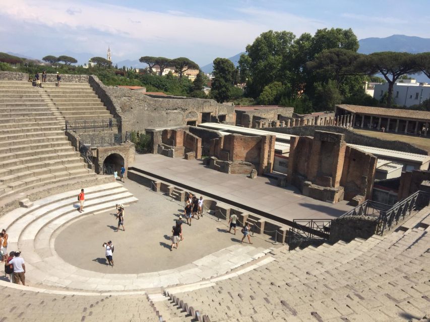 From Salerno: Pompeii Guided Walking Tour - Key highlights worth planning for