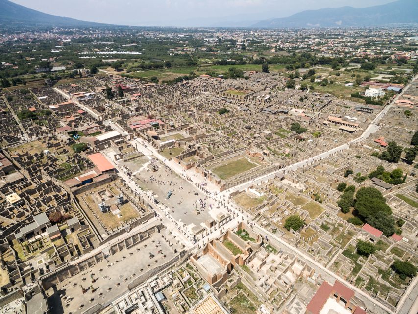 From Salerno: Vesuvius & Pompeii with audioguide - Vesuvius National Park: crater time, uphill effort, and what to pack