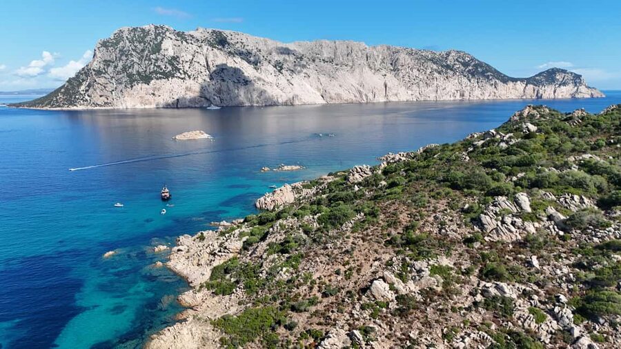 From San Teodoro: Tavolara Archipelago Grand Tour - Tavolara Island Lunch and Cala Tramontana Option