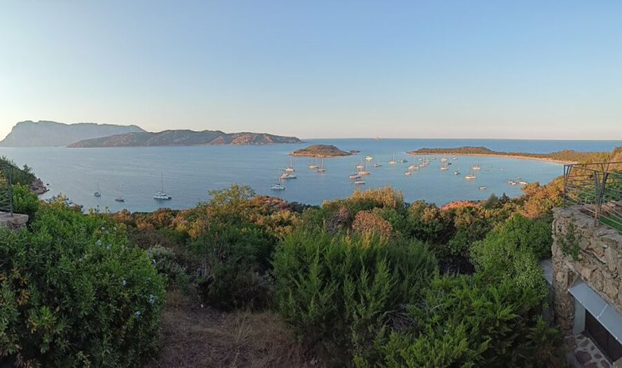 From San Teodoro: Tavolara Archipelago Mini Tour - Key points worth knowing before you go