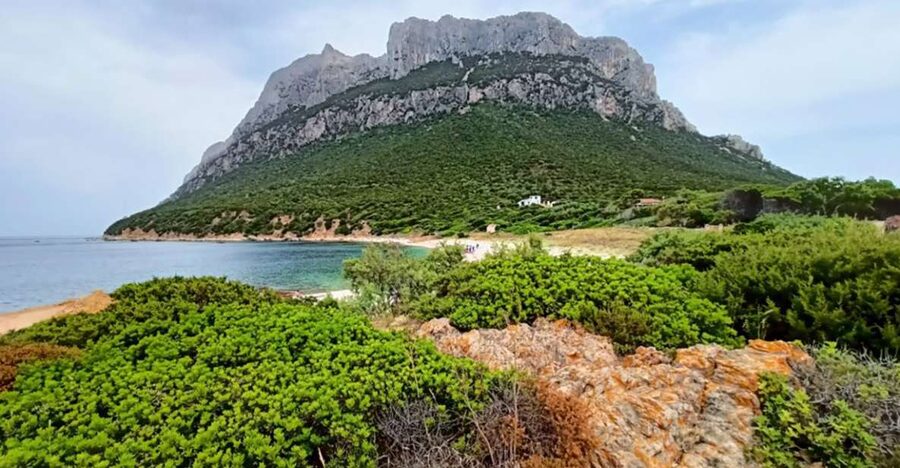 From San Teodoro: Tavolara Archipelago Mini Tour - Why this Tavolara mini tour works (even if you’re short on time)