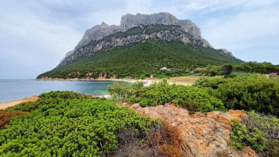 From San Teodoro: Tavolara Archipelago Mini Tour - Getting to La Cinta and finding the correct meeting spot