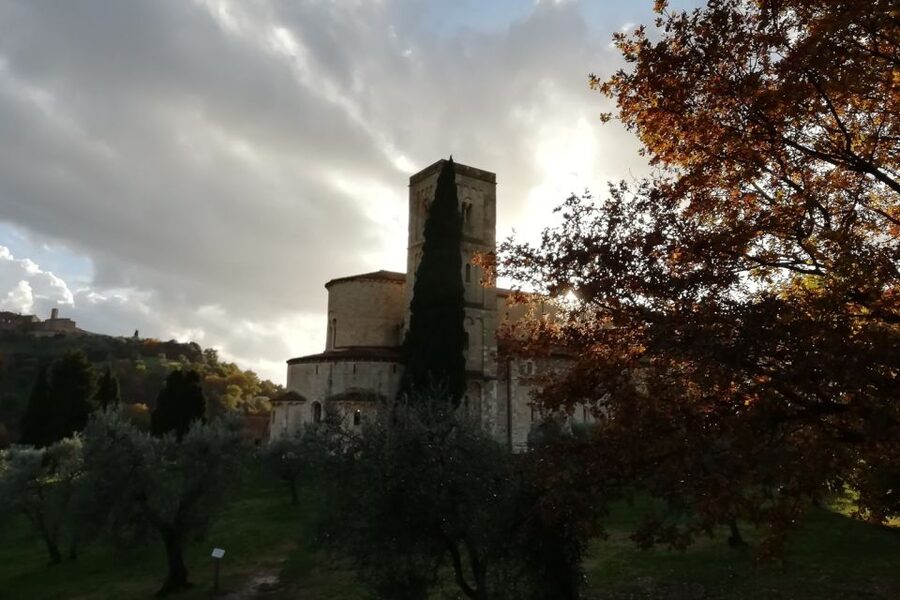 From Siena: Brunello di Montalcino Guided Wine Tour W/ Lunch - Key highlights worth planning around