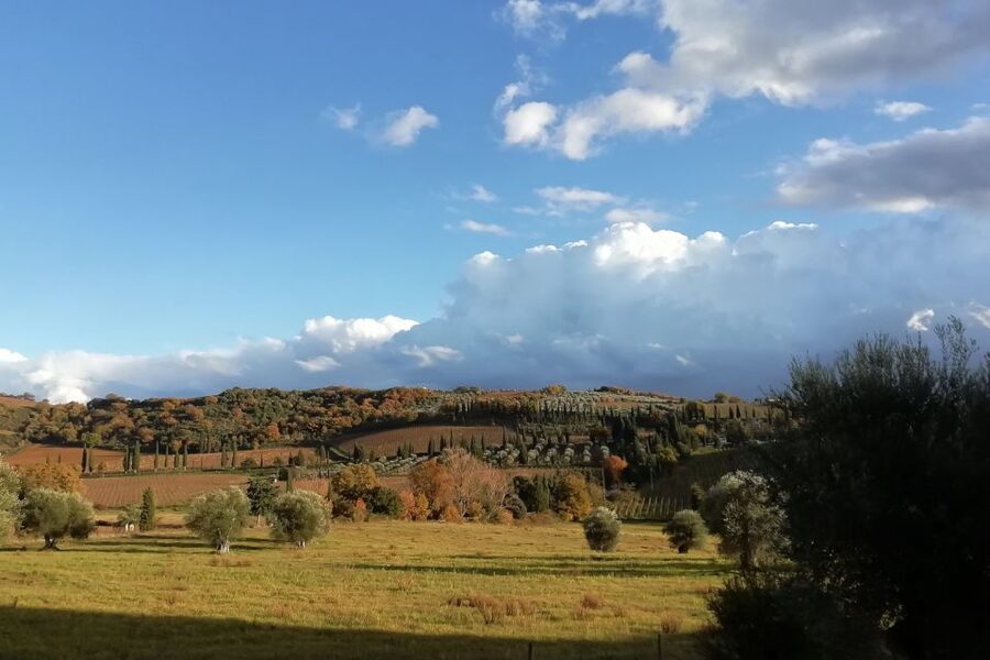 From Siena: Brunello di Montalcino Guided Wine Tour W/ Lunch - Montalcino town, fortress views, and practical shop time