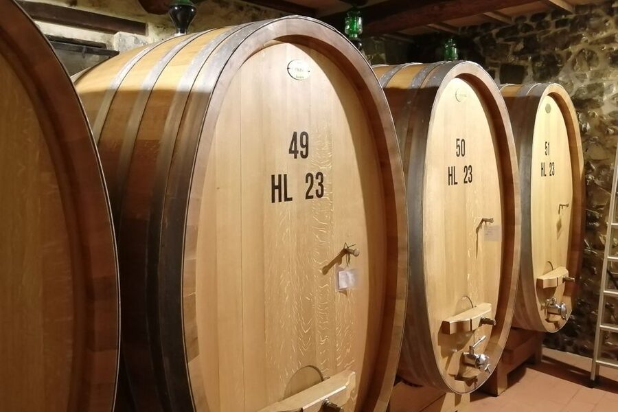 From Siena: Brunello di Montalcino Guided Wine Tour W/ Lunch - A family-run winery lunch that actually tastes like Tuscany