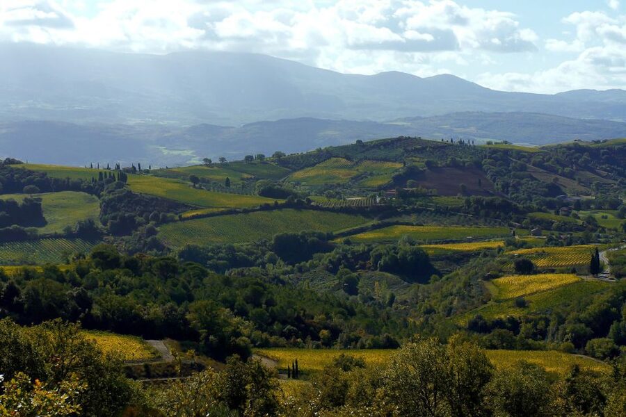 From Siena: Brunello di Montalcino Guided Wine Tour W/ Lunch - Sant’Antimo Abbey, a quiet pause between tastings