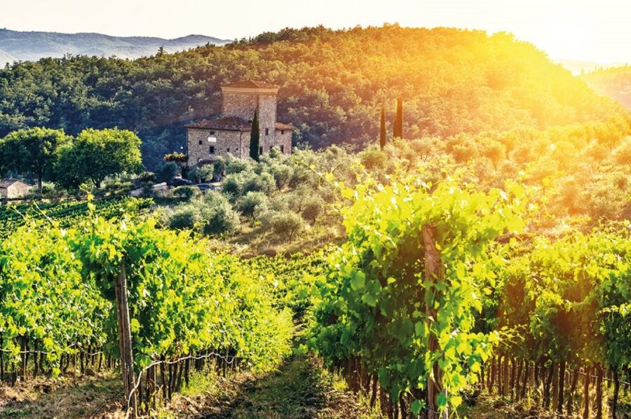 From Siena: Chianti and Castles Tour with Wine Tastings - Practical Tips So Your Afternoon Runs Smooth