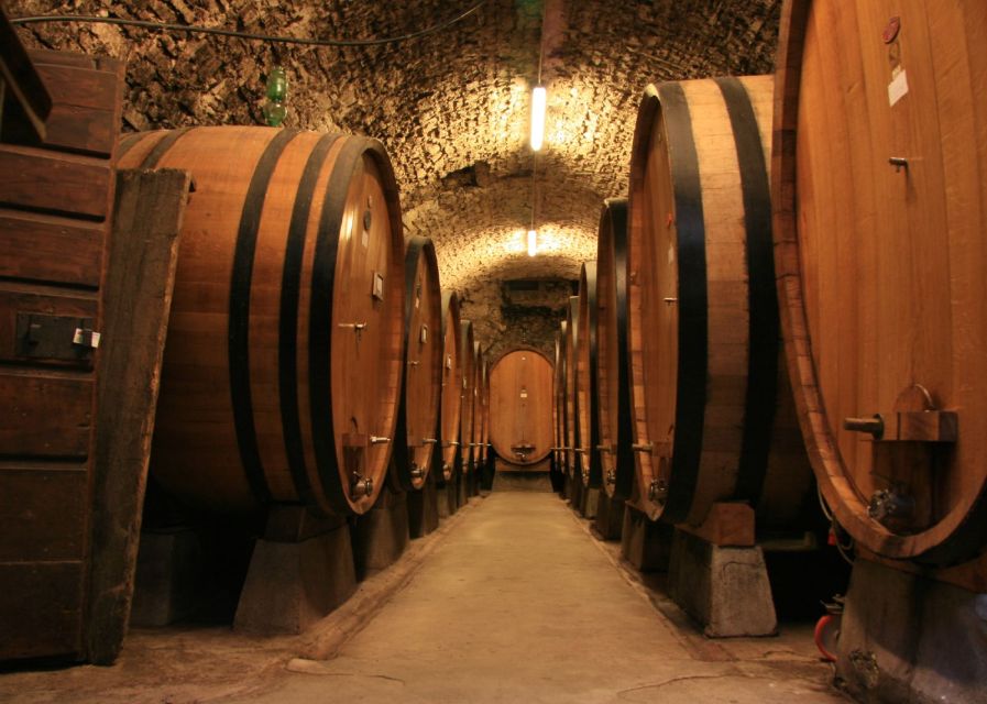 From Siena: Chianti and Castles Tour with Wine Tastings - Winery Stop Two in Chianti Classico, A Second Perspective on the Same Region