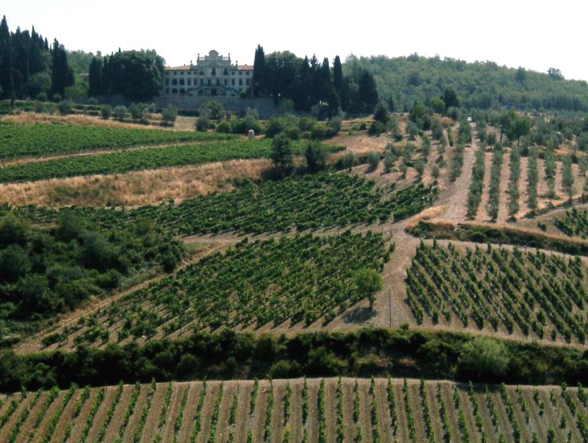 From Siena: Chianti and Castles Tour with Wine Tastings - Setting Off From Siena, Hotel Minerva to the Vineyards