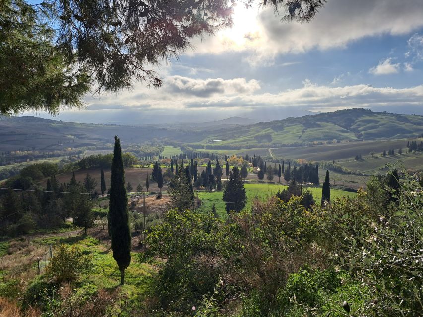From Siena: Pienza and Montepulciano Small-Group Tour - Key things to notice before you go