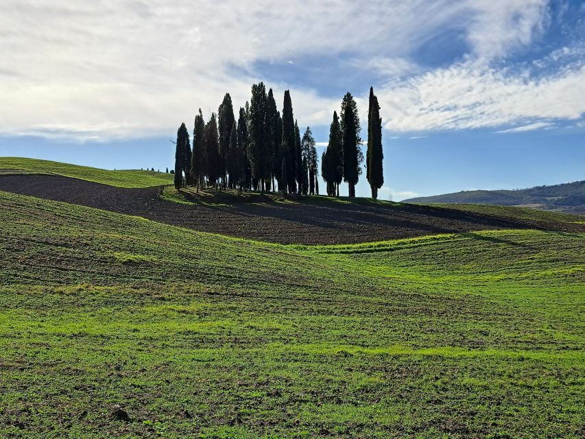 From Siena: Pienza and Montepulciano Small-Group Tour - Vino Nobile tasting and time to explore on your own