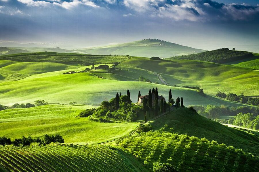 From Siena: Tuscany Hills Wine Tour - Comfort, walking, and the practical reality of a long day