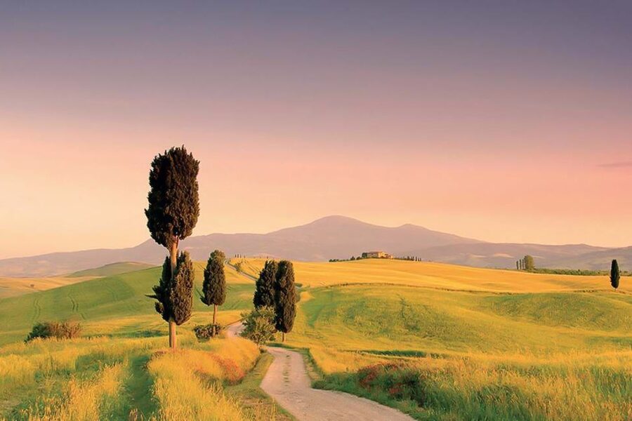 From Siena: Tuscany Hills Wine Tour - Pienza in 80 minutes: art, photo stops, and time to eat