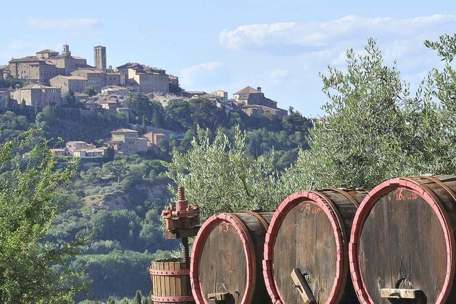 From Siena: Tuscany Hills Wine Tour - Guides, language, and what to listen for