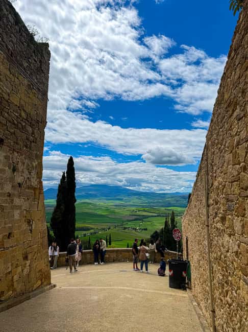 From Siena: Tuscany Hills Wine Tour - Winery stop in Chianti: wine tasting plus olive oil lessons
