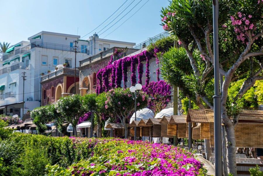 From Sorrento: Capri, Anacapri, & Blue Grotto Full-Day Trip - Price and value: is about $192 fair for what you get?