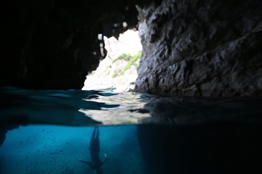From Sorrento: Capri and Blue Grotto Boat Tour - Swim and snorkeling stops: where the day turns from sightseeing to fun