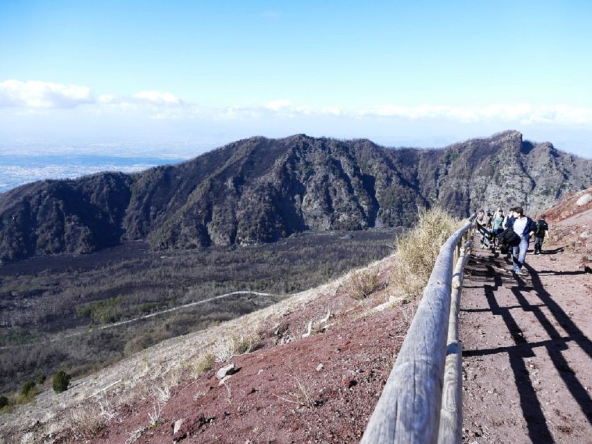 From Sorrento: Day Tour to Pompeii Ruins and Mount Vesuvius - Pompeii’s must-see zones, and what to look for at each