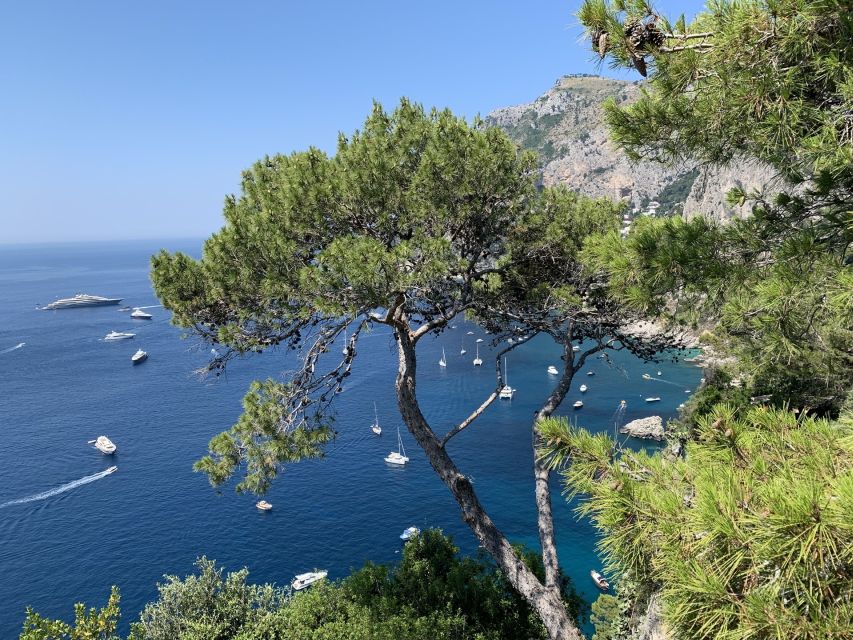 From Sorrento: Day Trip to Capri & Anacapri with Blue Grotto - Blue Grotto Time: The Experience, the Timing, and the Footwear Reality