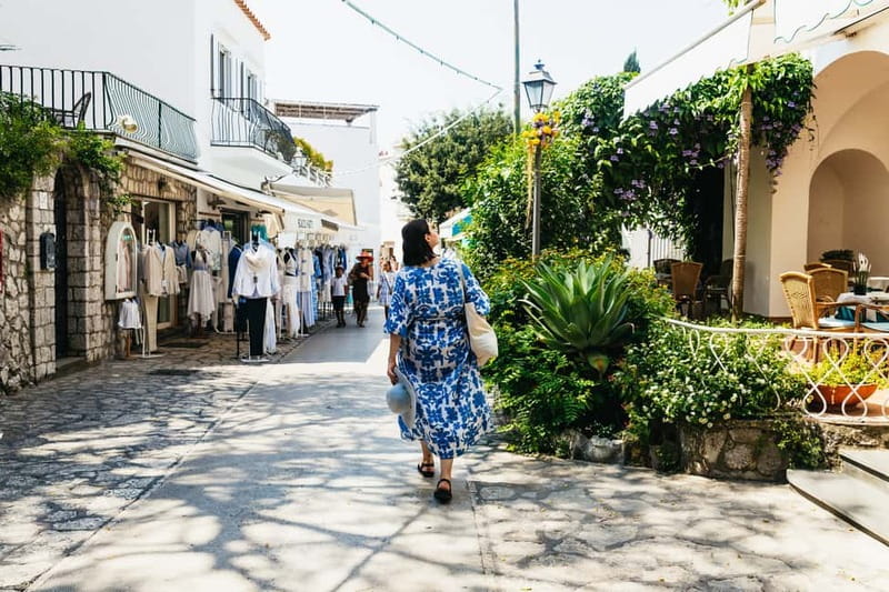 From Sorrento/Nerano: Capri Island Cruise with Guide Onboard - Getting to Anacapri and the chairlift areas without losing your day