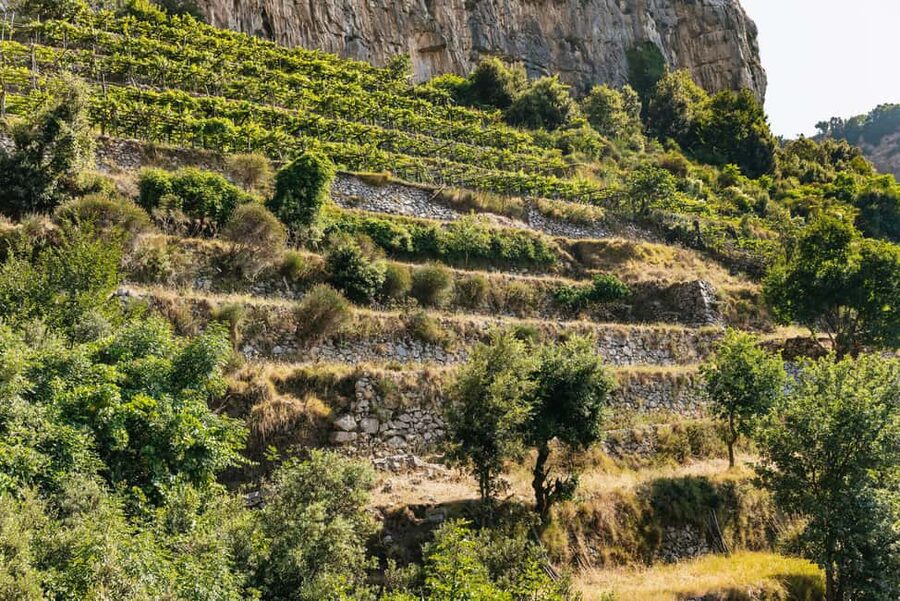 From Sorrento: Path of the Gods Guided Hike with Transfers - How hard is it, honestly?