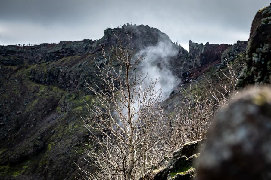 From Sorrento: Pompeii and Vesuvius Guided Tour with Lunch - Who should book this tour (and who should consider another option)