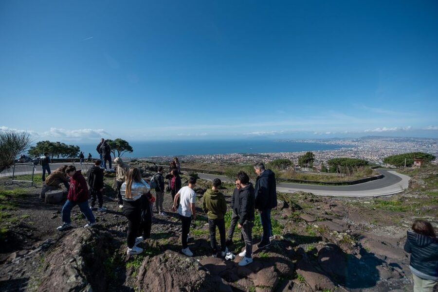 From Sorrento: Pompeii and Vesuvius Guided Tour with Lunch - Walking pace, group flow, and comfort tips