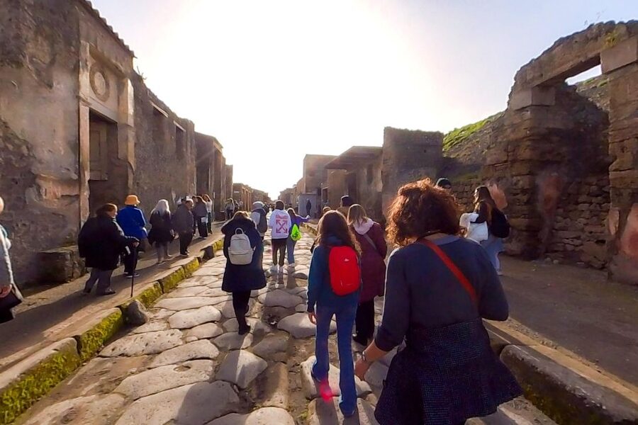 From Sorrento: Pompeii and Vesuvius Guided Tour with Lunch - Guides and drivers: the difference between seeing and understanding