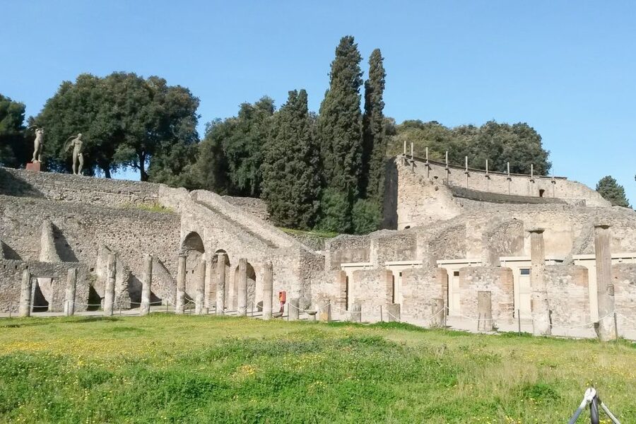 From Sorrento: Pompeii and Vesuvius Tour - Who Should Book This Tour, and Who Should Skip It