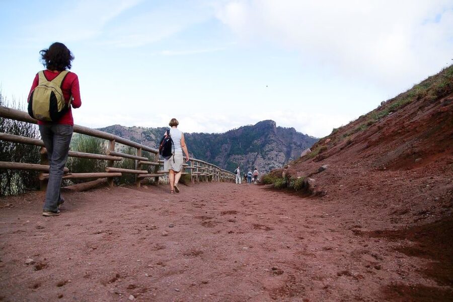 From Sorrento: Pompeii and Vesuvius Tour - What a Typical Day Feels Like, From Start to Finish