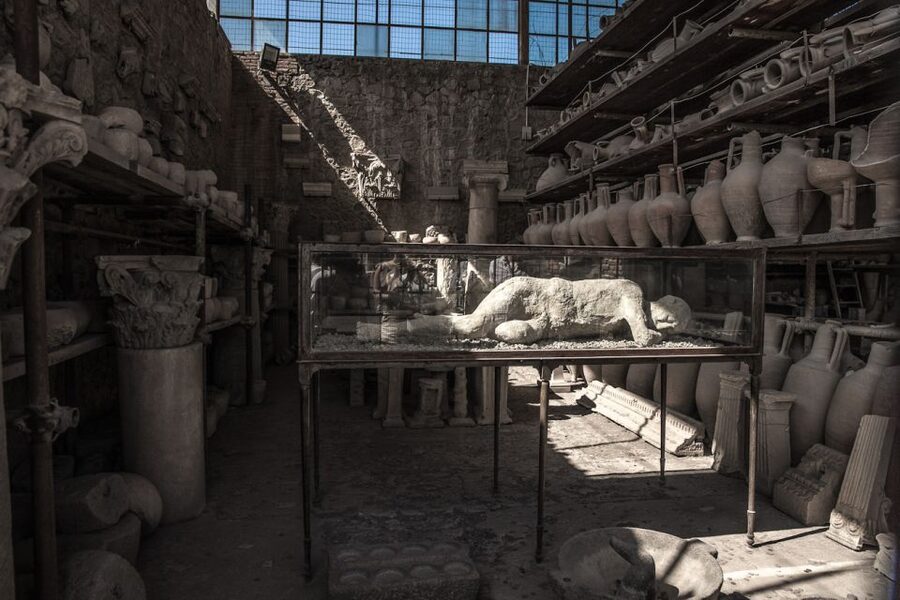 From Sorrento: Pompeii Half-Day Skip-the-Line Tour - FAQ
