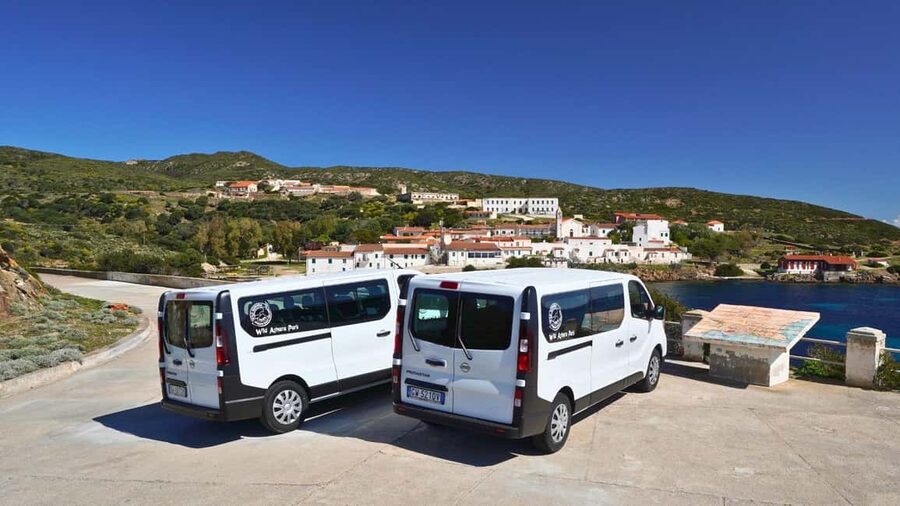 From Stintino: Asinara minivan tour - Key takeaways before you go