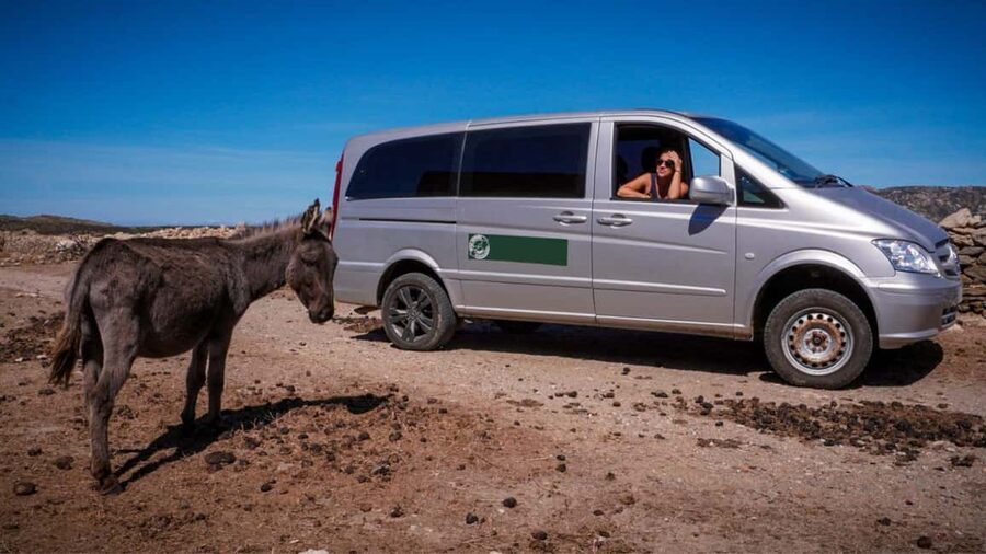 From Stintino: Asinara minivan tour - Cala d’Oliva: a break to refuel and reset your eyes