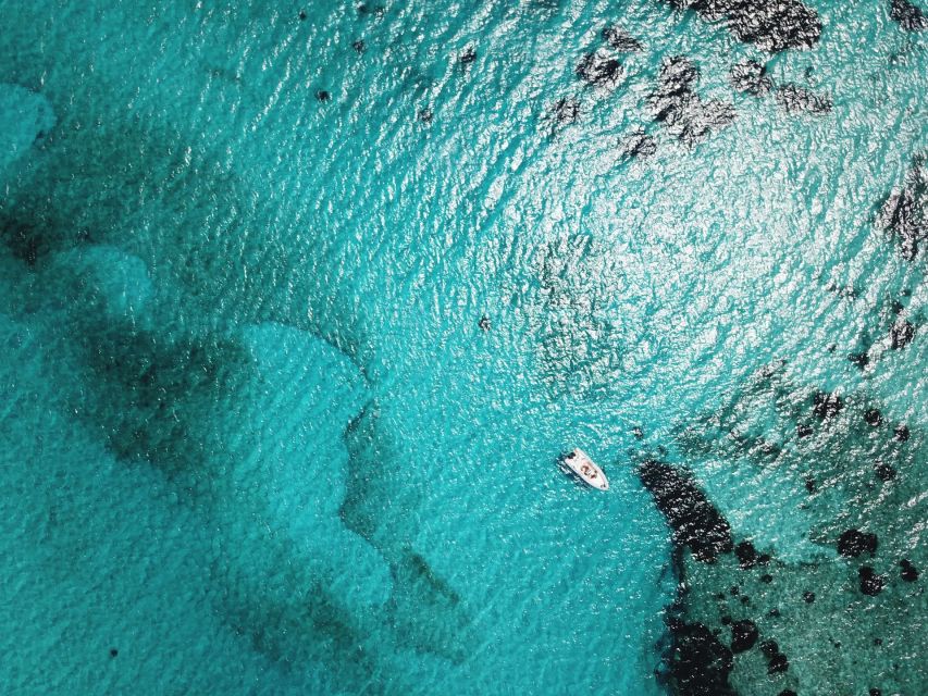 From Stintino: Half-day dinghy tour in Asinara Gulf - Who This Tour Is Best For