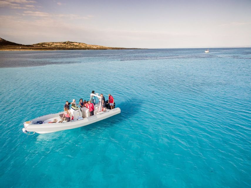 From Stintino: Half-day dinghy tour in Asinara Gulf - The 3-Hour Format: Why This Half-Day Feels Just Right
