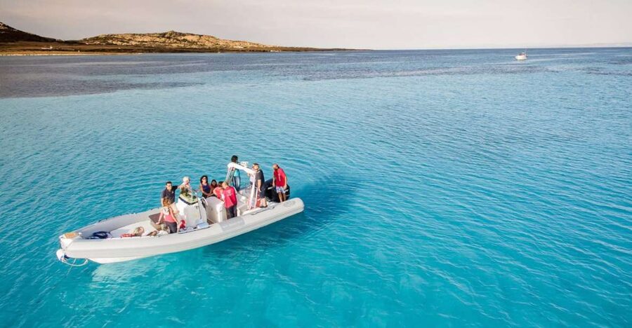 From Stintino: Half-day dinghy tour in Asinara Gulf - La Pelosa and the Tower: The Iconic View From the Water