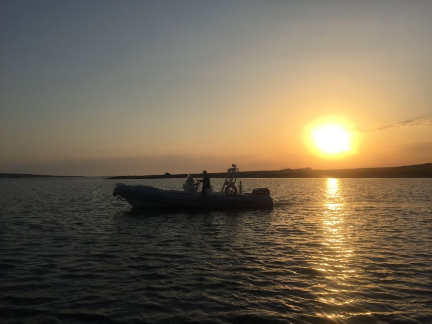 From Stintino: Half-day dinghy tour in Asinara Gulf - Isola Piana, Mare di Fuori, and Capo Falcone Coves