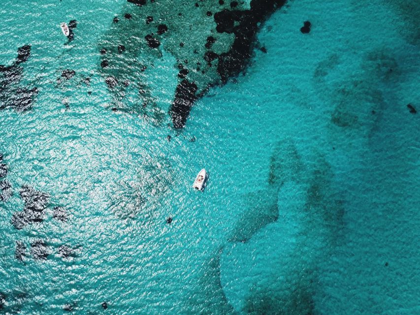 From Stintino: Half-day dinghy tour in Asinara Gulf - Roccia Forata, Porri Island, and the Fun of Seeing the Coast in Layers
