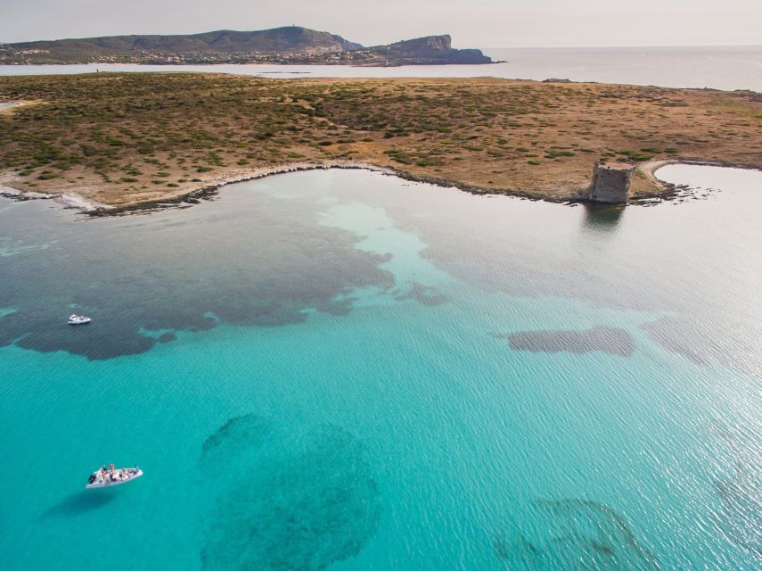 From Stintino: Half-day dinghy tour in Asinara Gulf - What to Bring (and What to Skip) So You Enjoy the Water Time