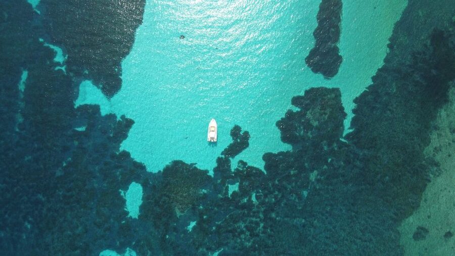 From Stintino: Half-day dinghy tour in Asinara Gulf - How the Skipper Plans Your Route Around Asinara