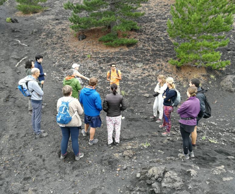 From Taormina: Full-Day Etna, Wine & Alcantara Canyons Tour - Key Highlights You Should Actually Care About