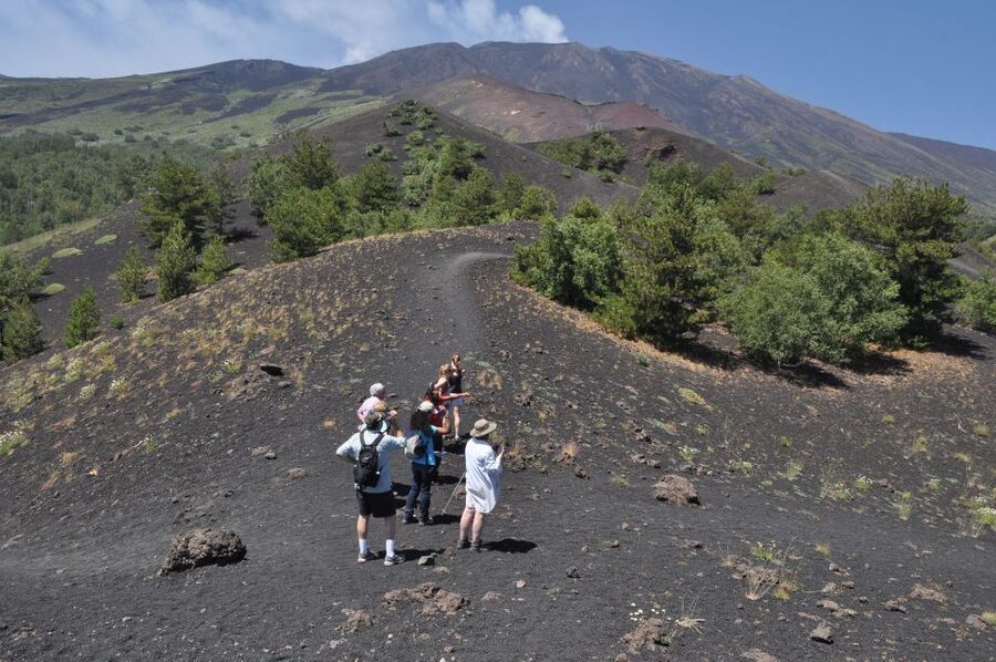 From Taormina: Full-Day Etna, Wine & Alcantara Canyons Tour - Getting Picked Up in Taormina, Giardini Naxos, and Nearby Areas