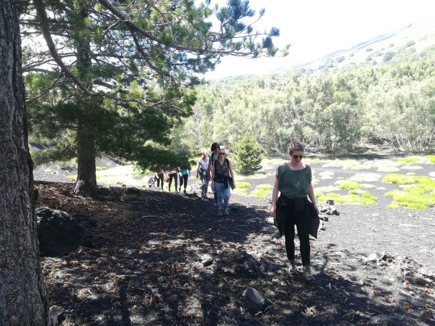 From Taormina: Half-Day Mount Etna Morning Trek - Should you book the Half-Day Mount Etna Morning Trek?